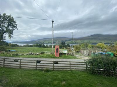 Picture 20